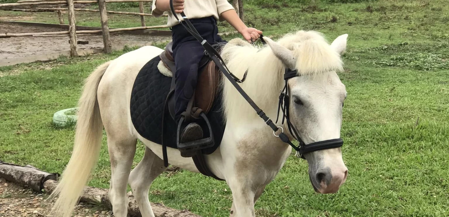 Pony Ride Adventure in the Garden and Farm