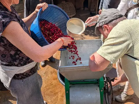 From Farm To Cup: 1 Day Coffee Farm Tour in Luang Prabang