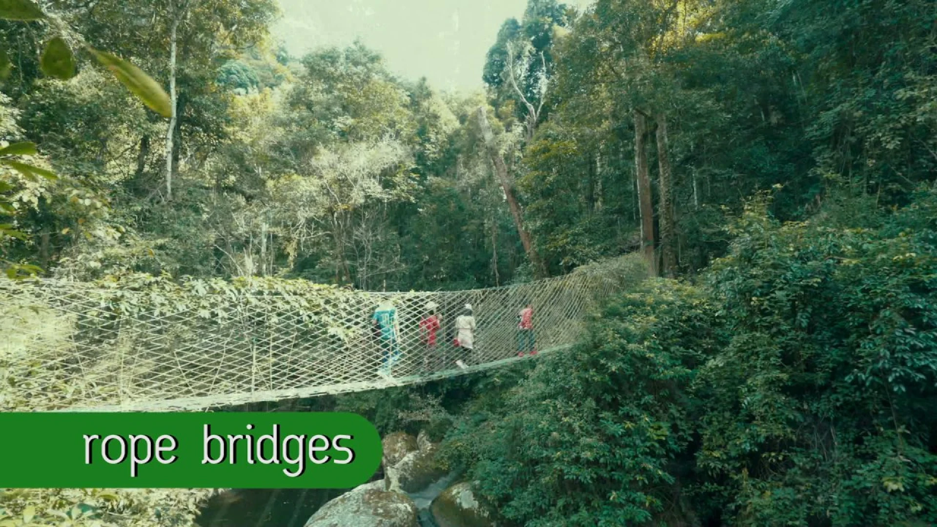 Trekking, Sky Bridges, Waterfall, Giant Trees