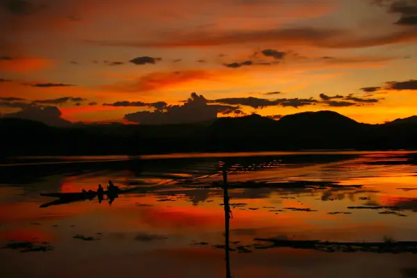 Discover Sayabouly's Elephant Sanctuary: A 3 Days - 2 Nights Wildlife Adventure