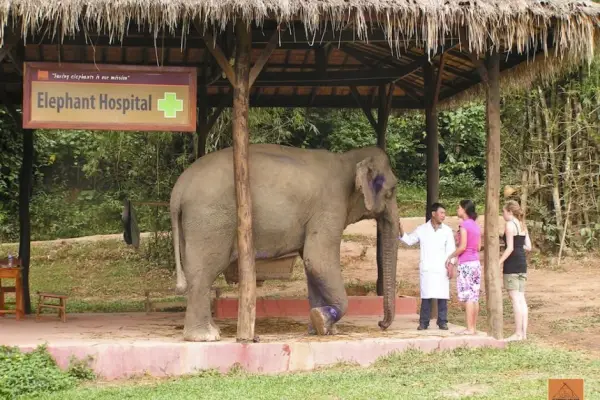 2 Day Mahout Experience with Overnight (Shangri Lao)