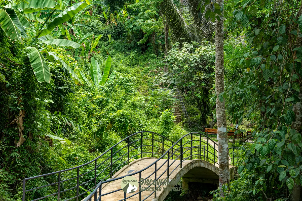 Kaeng Nyui Waterfall