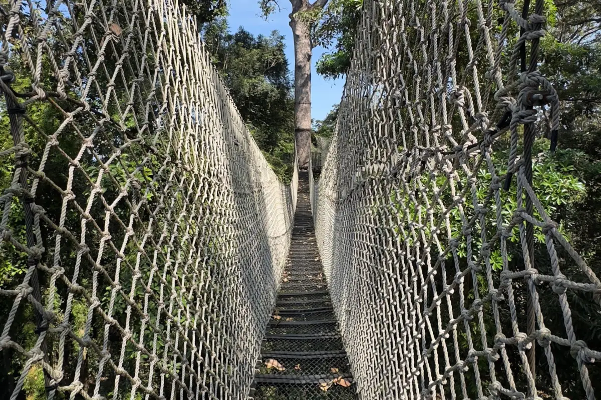 La Forêt