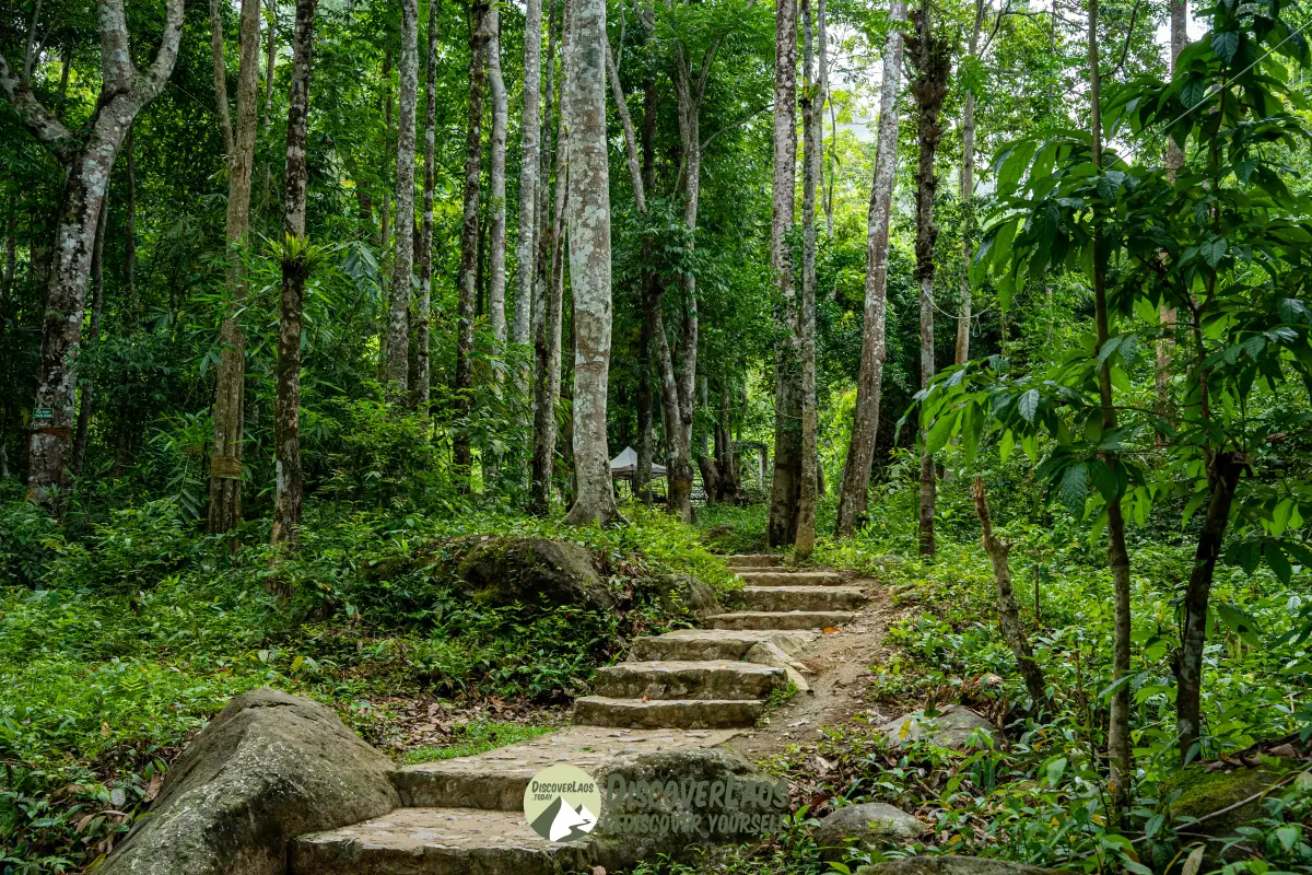 Kaeng Nyui Waterfall