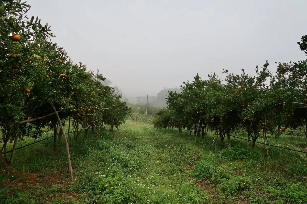 Mineral Freshy Farm