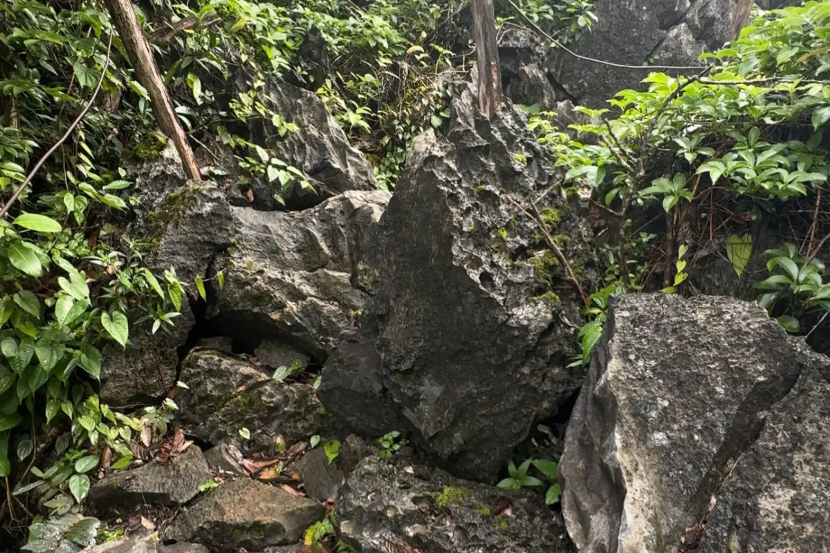 Pha Ngeun Viewpoint (Silver Cliff)