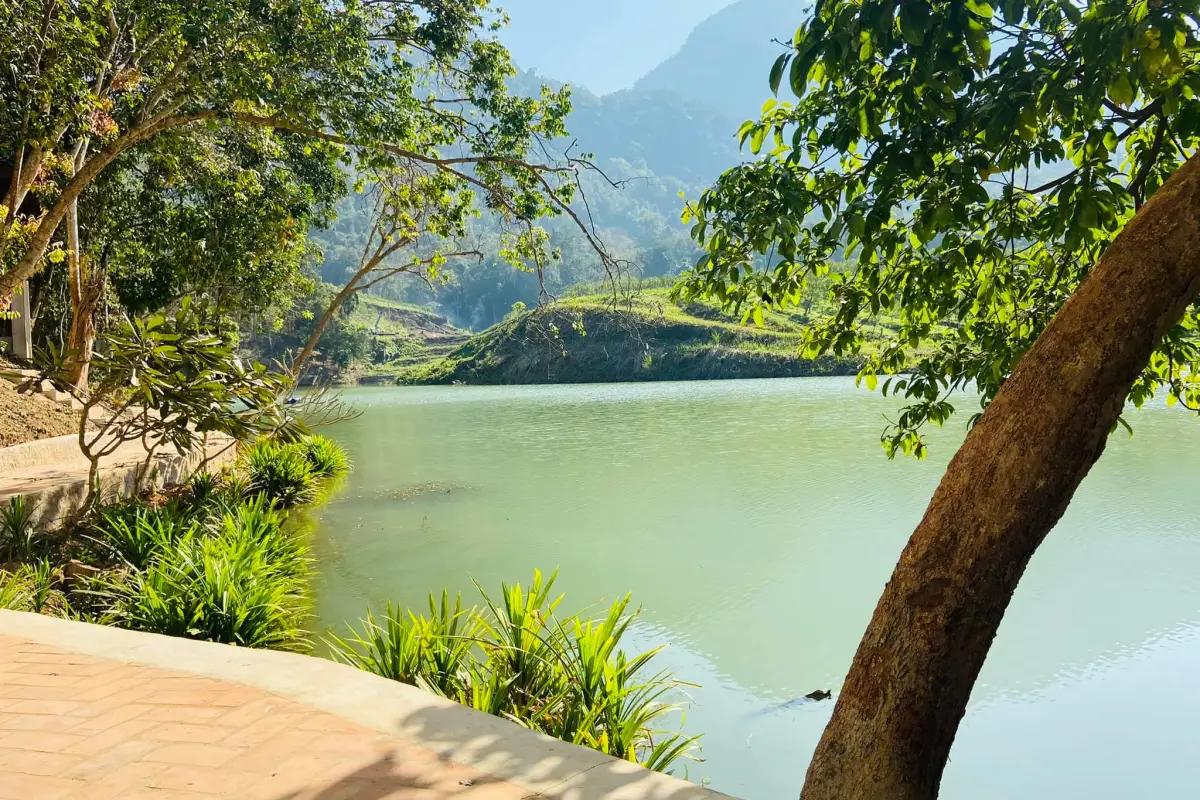 Farm River View