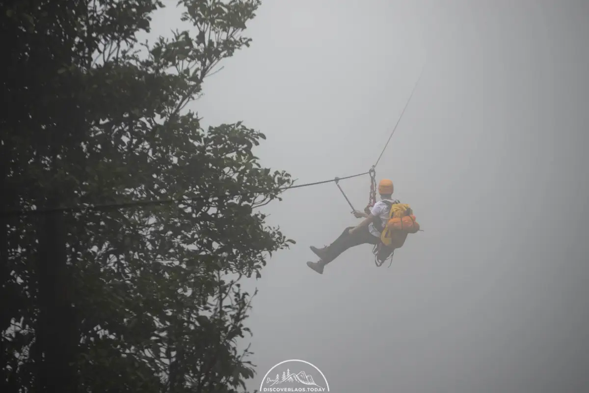 Tree Top Explorer