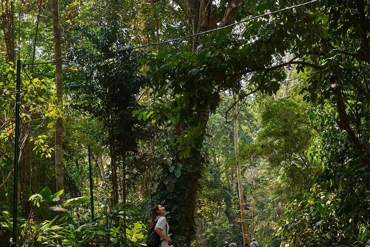 Kuang Si Waterfalls