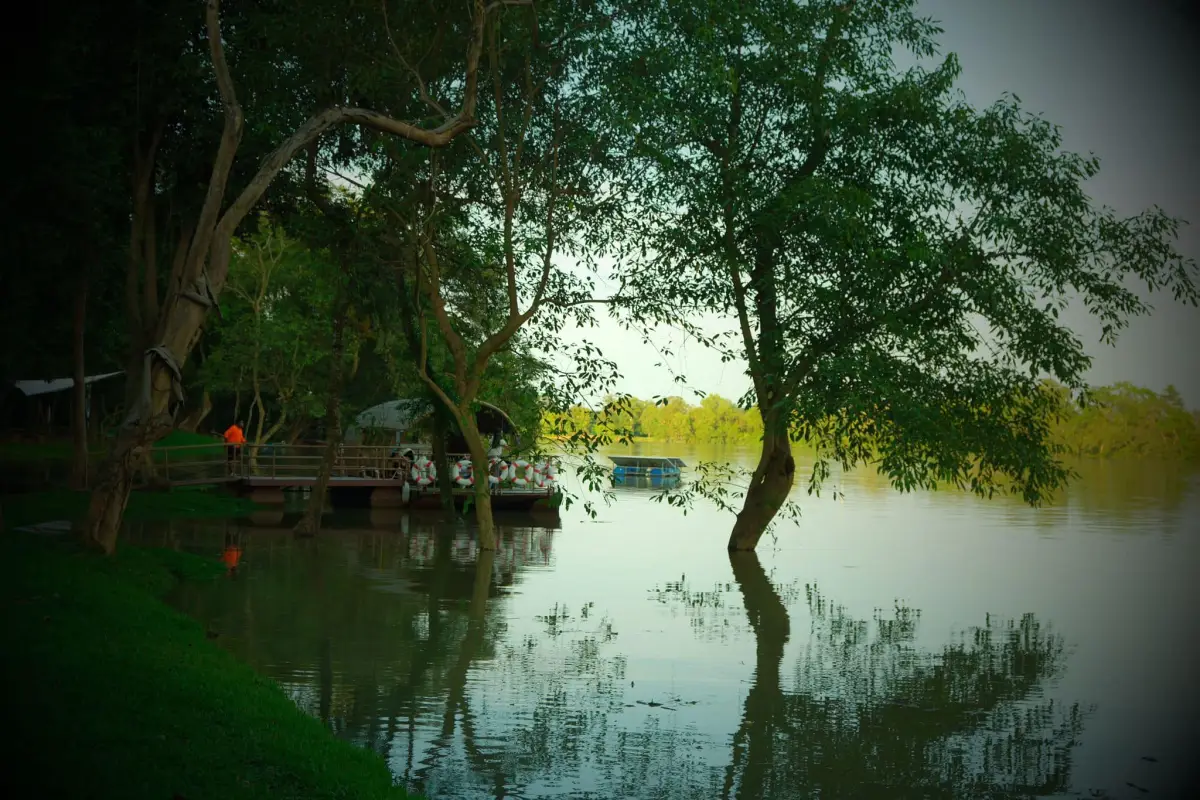 La Forêt