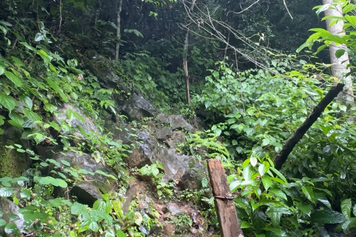 Pha Ngeun Viewpoint (Silver Cliff)