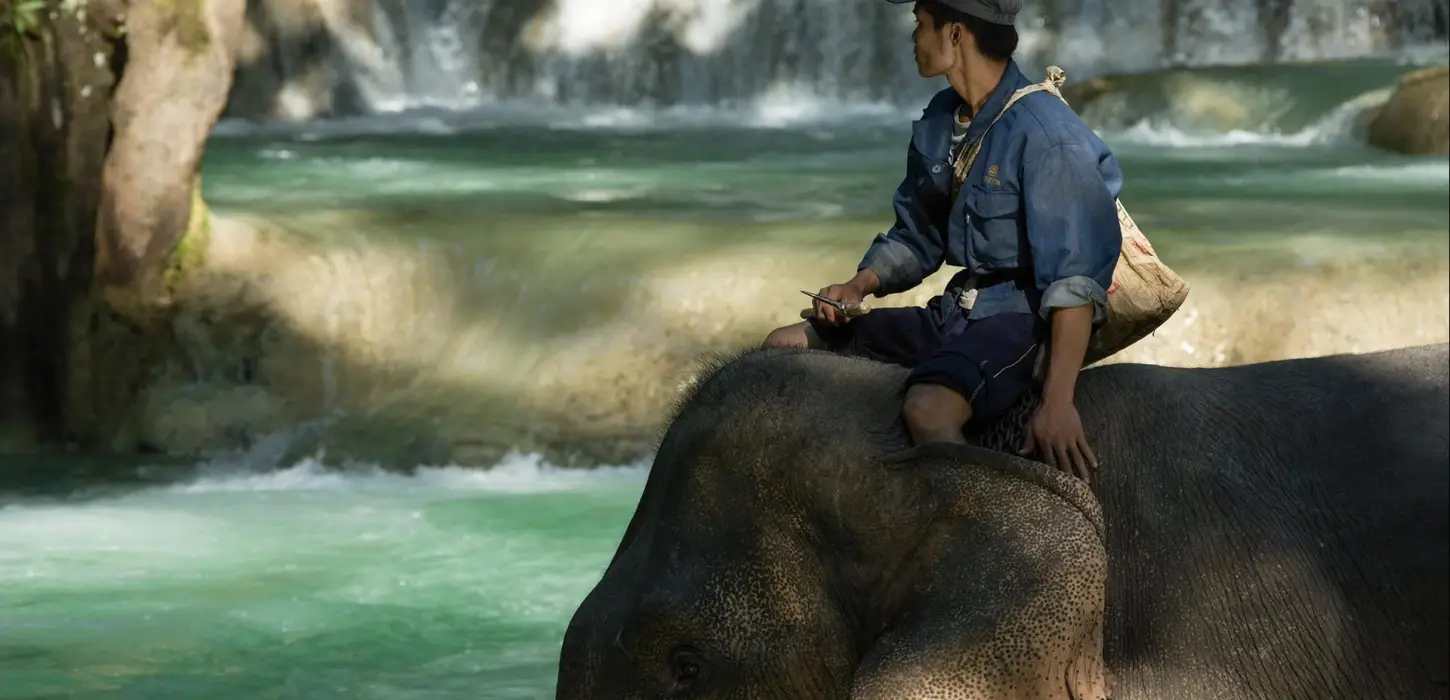 2 Days Deluxe Living with Elephant Mahout Program