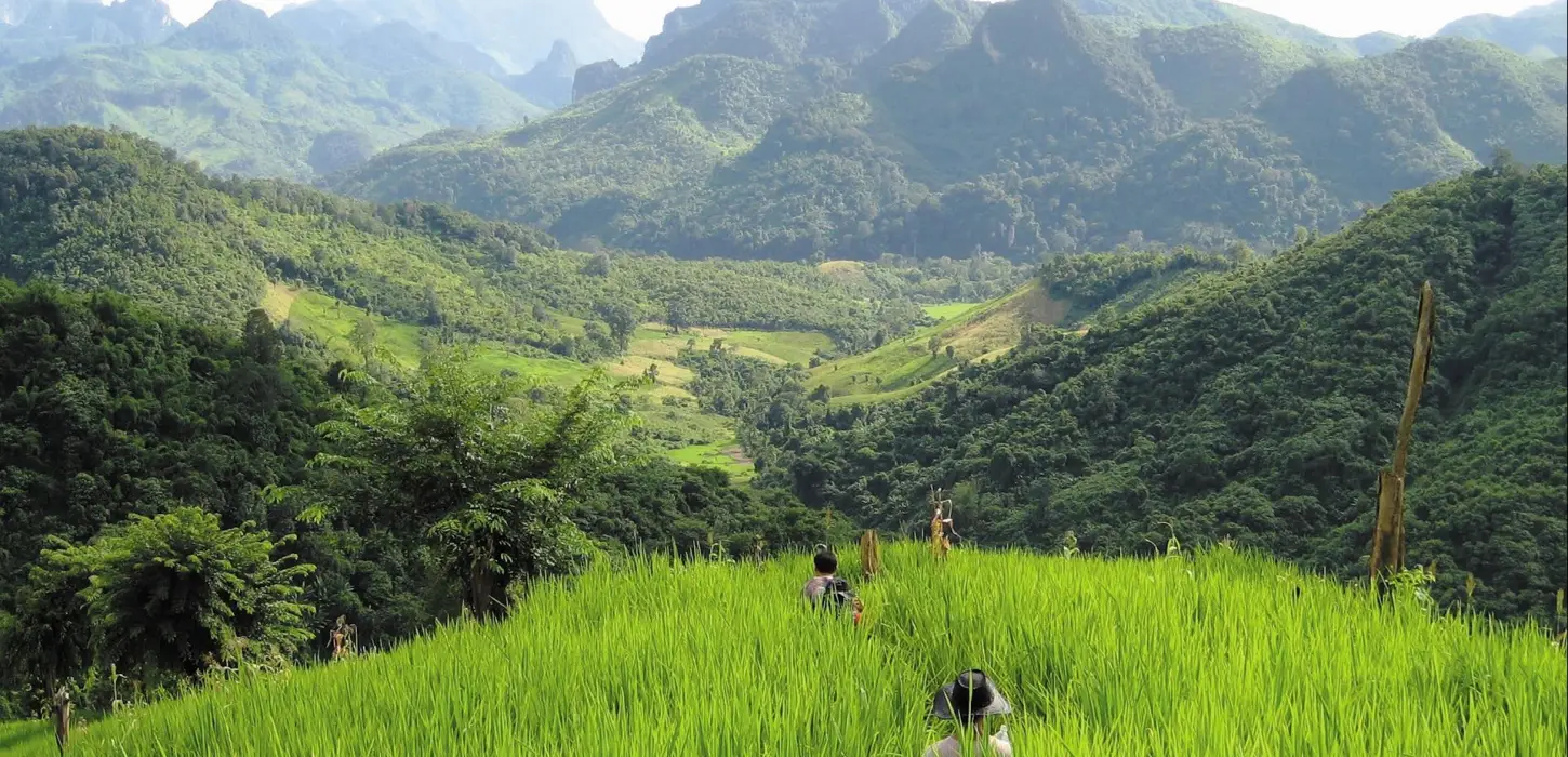 2 Days Trek & Homestay in Nong Khiaw & Tadmok Waterfall