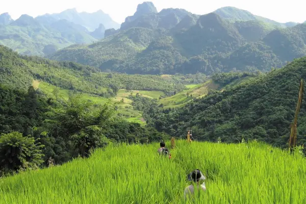 2 Days Trek & Homestay in Nong Khiaw & Tadmok Waterfall