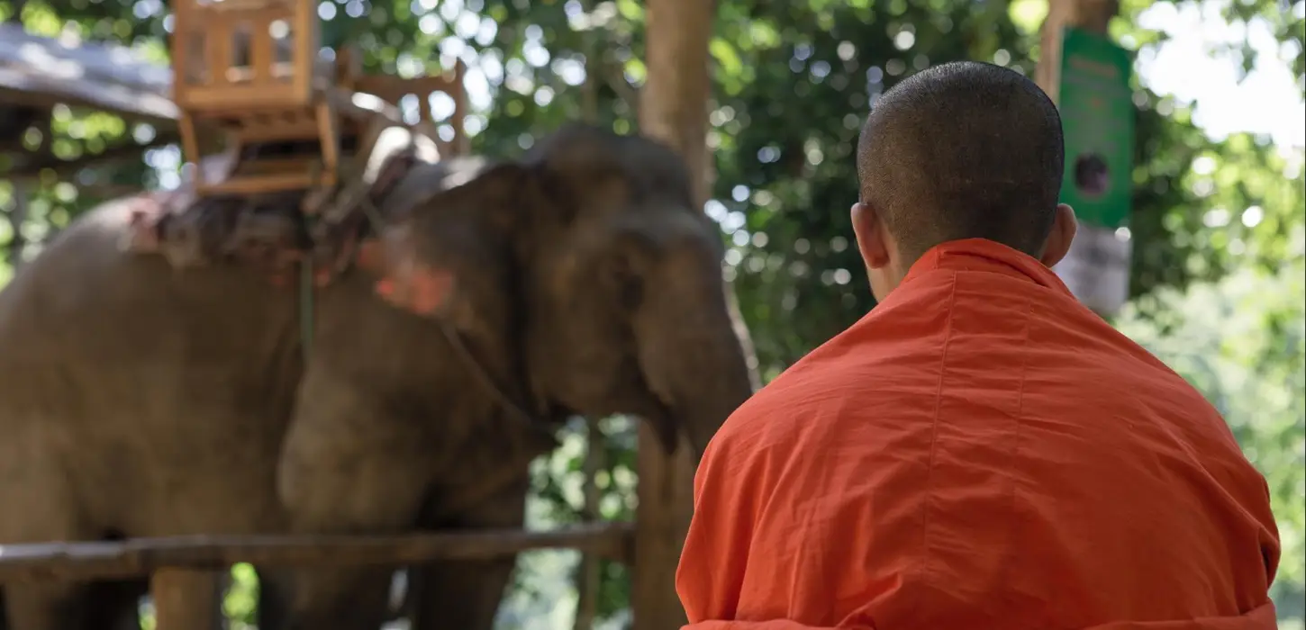 2 Days Trekking, Elephants & Soft Kayaking