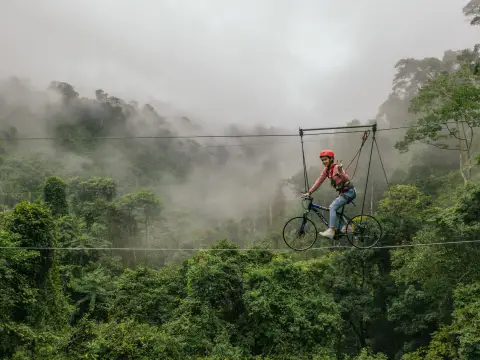 Tree Top Experience at Nam Pien Yorla Pa