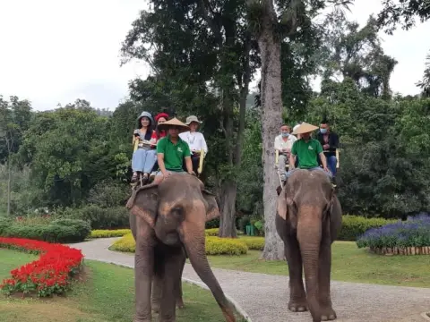 ขี่ช้าง