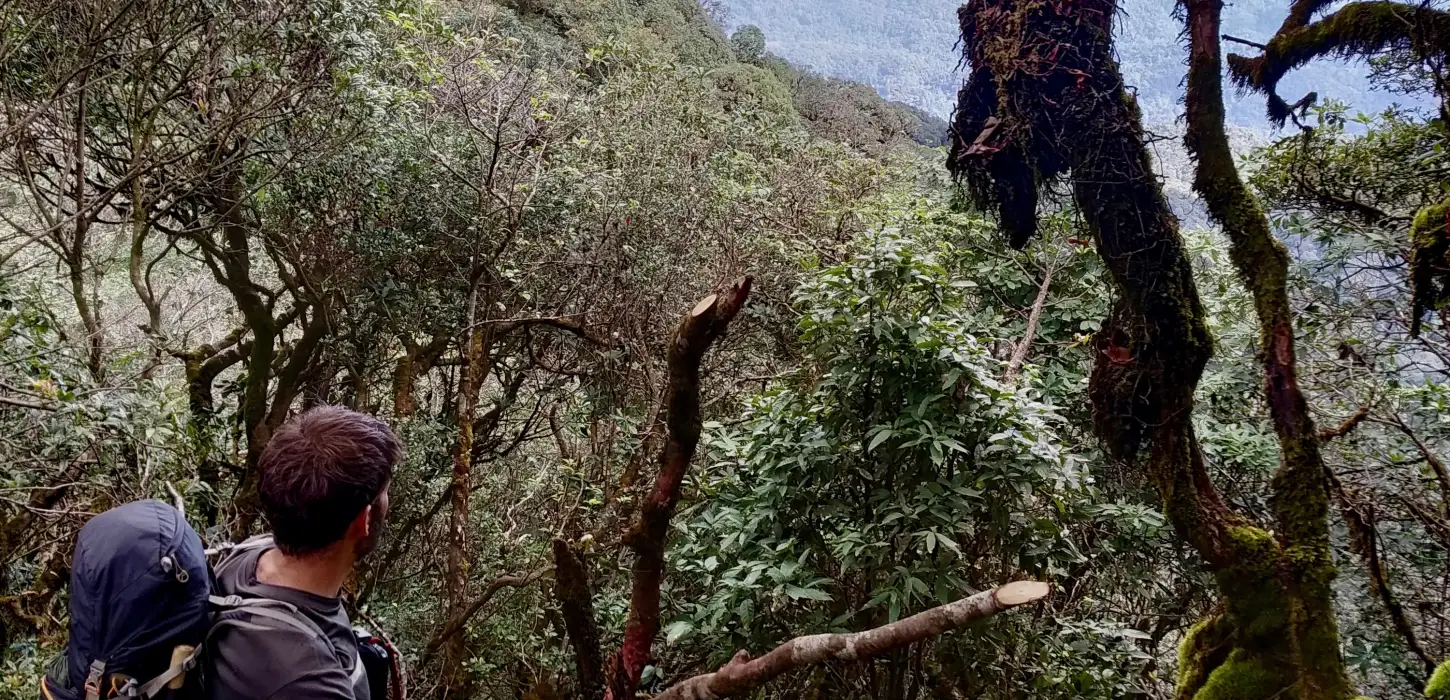Hiking