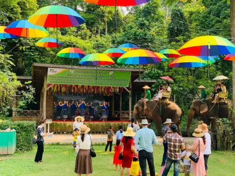 ดูการแสดงรำพื้นเมือง