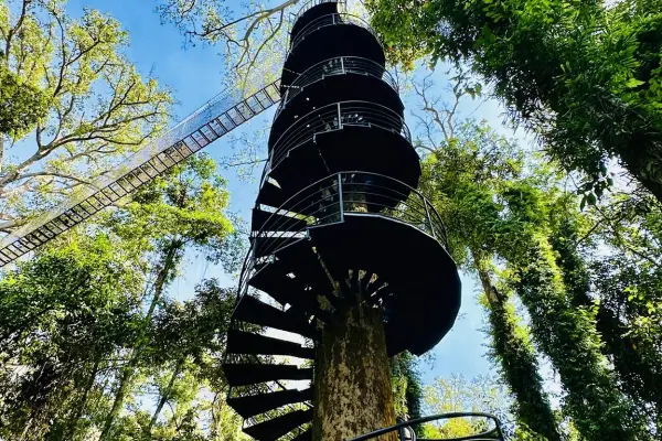 Canopy Walkways & Zipline Adventure at La Forêt Vientiane